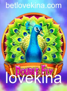 DoubleFly: Uma Experiência de Jogo Inovadora